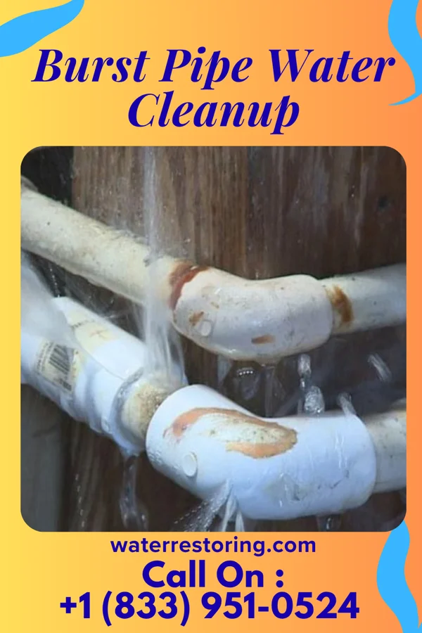 Burst Pipe Water Cleanup in Shrewsbury, NJ