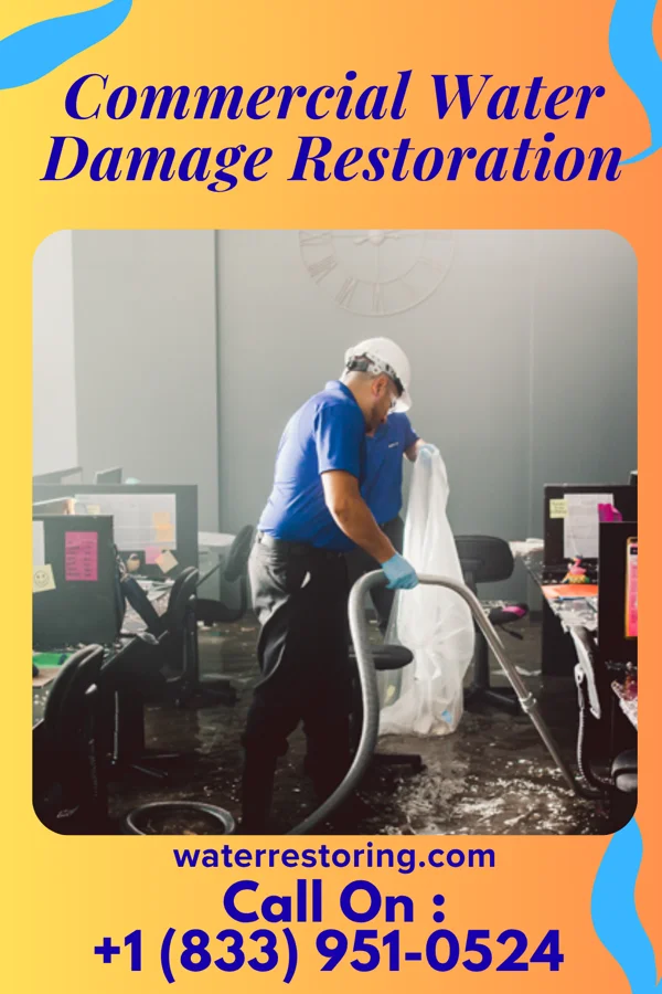 Commercial Water Damage Restoration in Shrewsbury, NJ