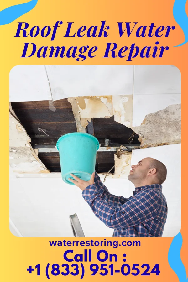 Roof Leak Water Damage Repair in Shrewsbury, NJ