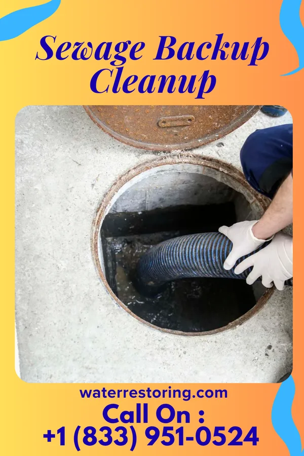 Sewage Backup Cleanup in Shrewsbury, NJ