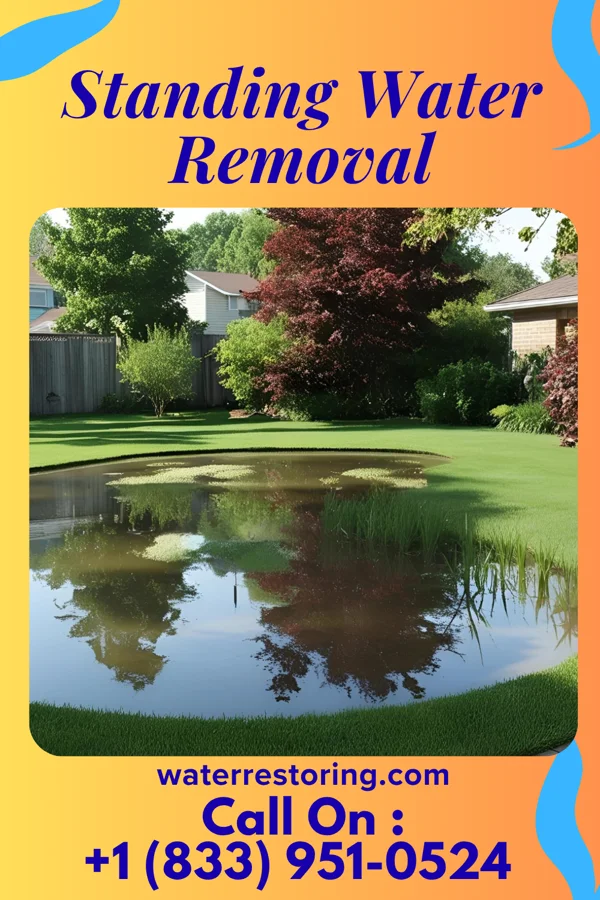 Standing Water Removal in Shrewsbury, NJ